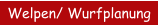 Welpen/ Wurfplanung