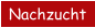 Nachzucht