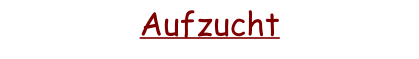 Aufzucht